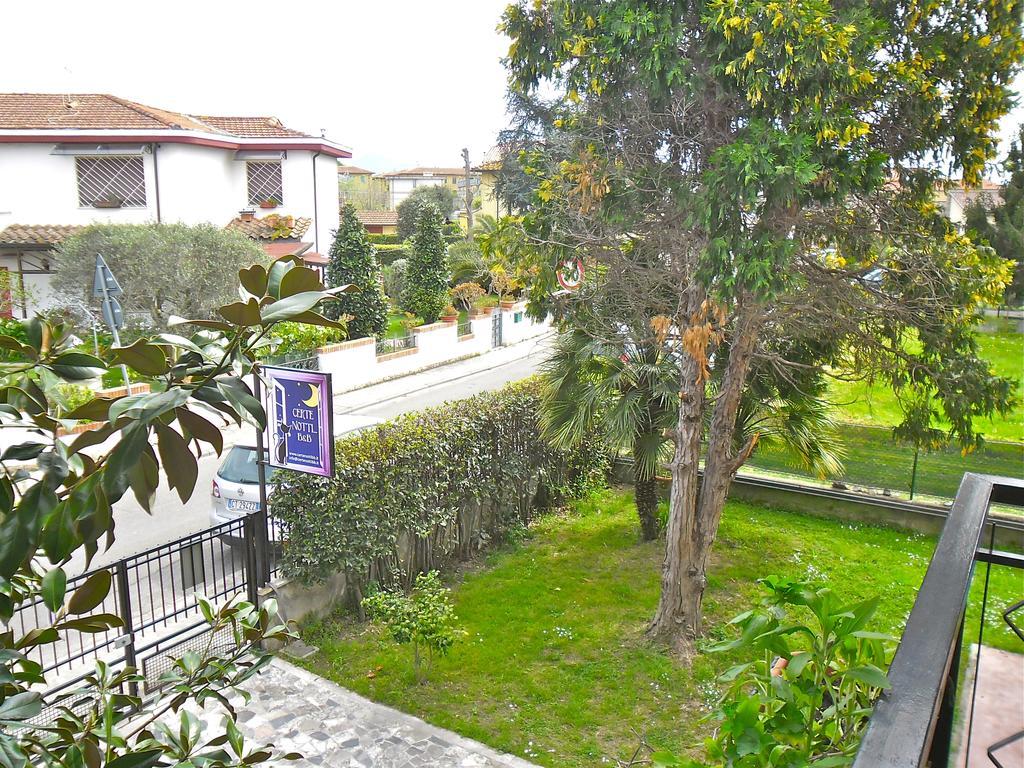 Bed and Breakfast Certe Notti Pisa Exterior foto